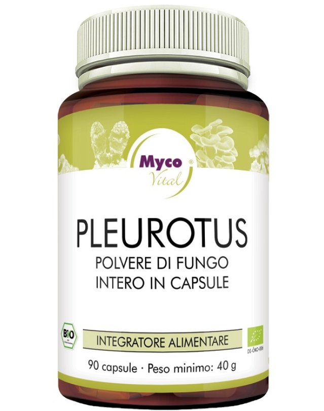 PLEUROTUS 90CPS N/F HIFAS DA TER PLEUROTUS 90CPS N/F HIFAS DA TER