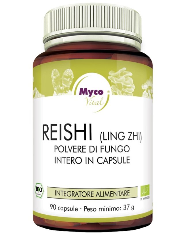 REISHI 90CPS N/F HIFAS DA TERRA