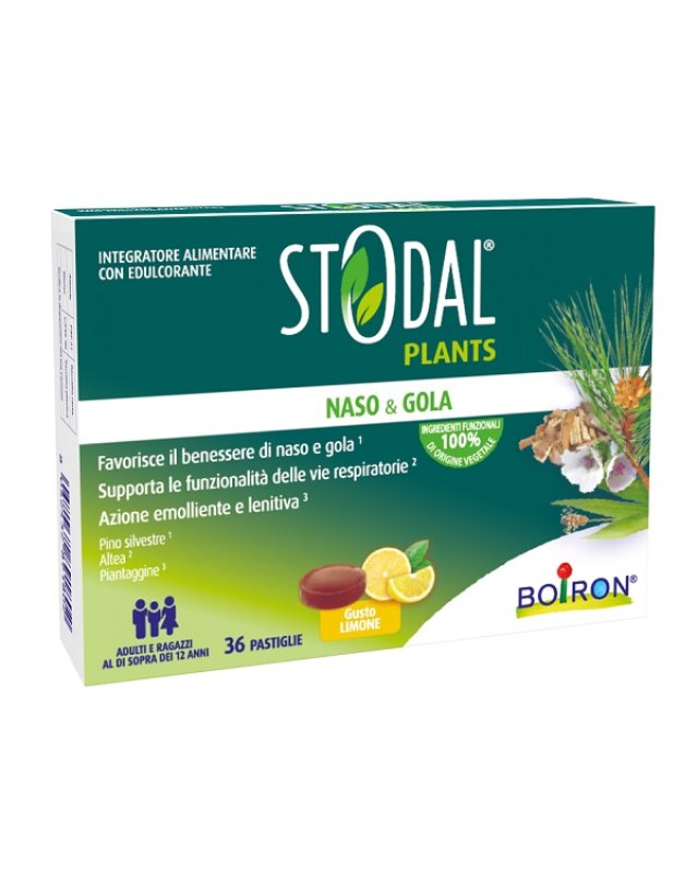 STODAL PLANTS LIMONE 36PAST STODAL PLANTS LIMONE 36PAST