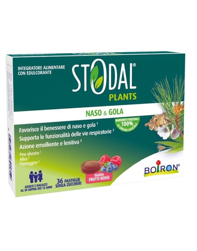 STODAL PLANTS FRUTTI RO 36PAST STODAL PLANTS FRUTTI RO 36PAST
