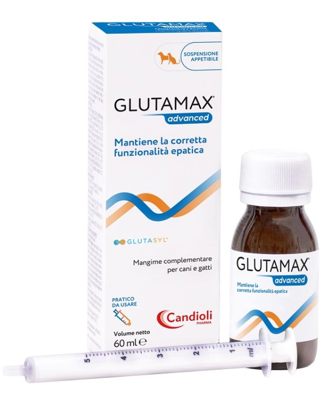 GLUTAMAX Advanced Sosp.60ml GLUTAMAX Advanced Sosp.60ml