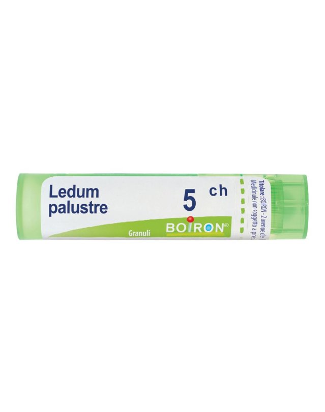 LEDUM PALUSTRE 5CH GR BO