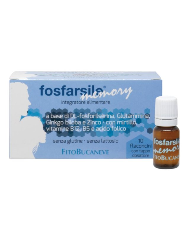 FOSFARSILE MEMORY INT 10FLNI