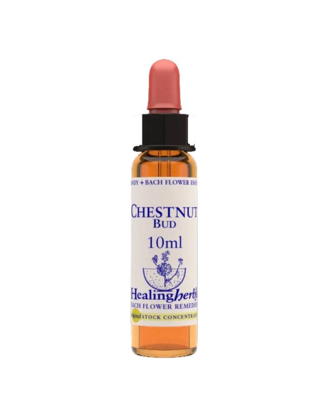 CHESTNUT BUD ESS 10ML INGL HER