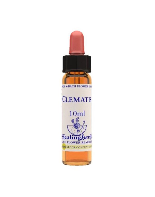 CLEMATIS ESS 10ML INGL HERBS