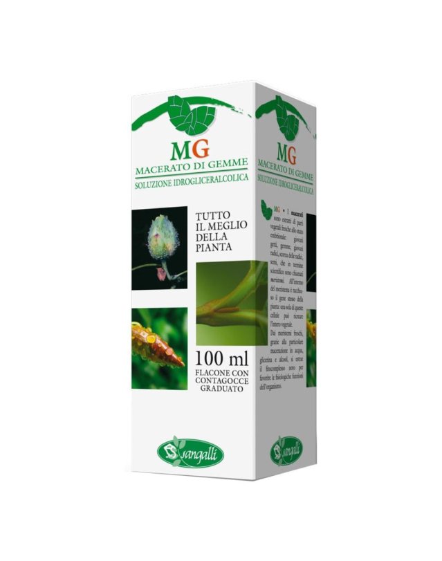 QUERCIA 100ML MG