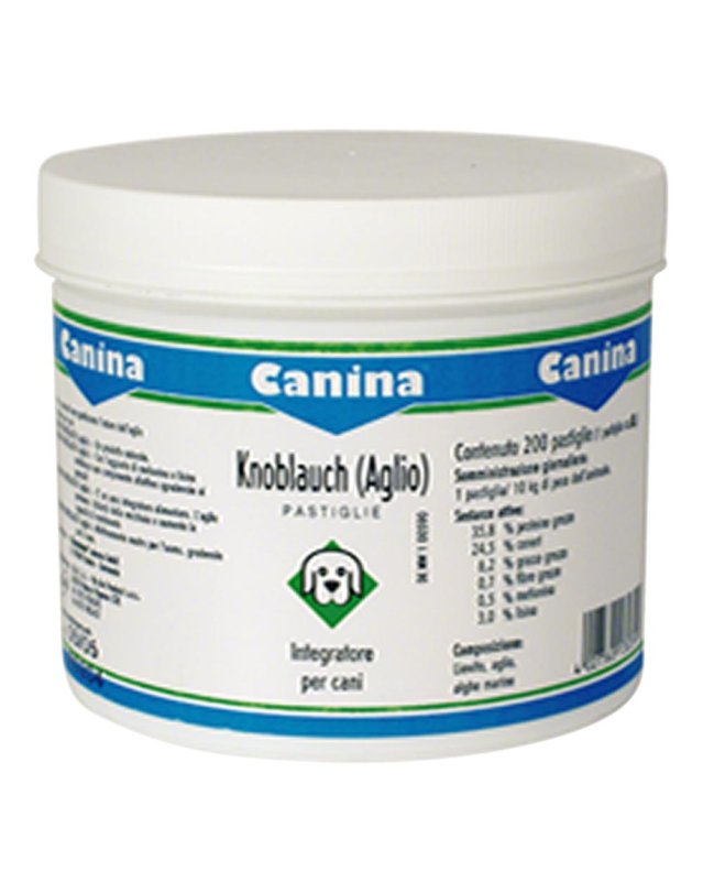 V KNOBLAUCH 200 TAV V KNOBLAUCH 200 TAV