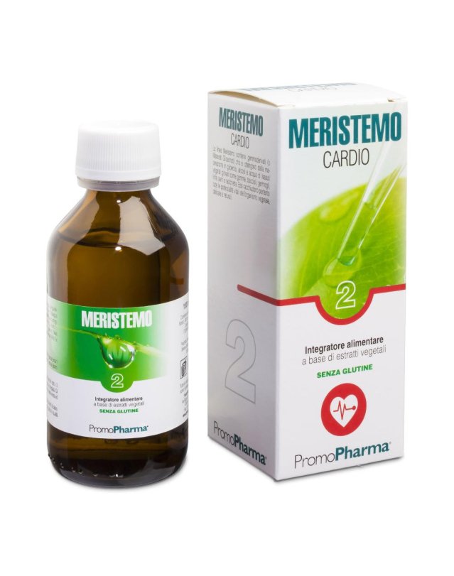 MERISTEMO YNKHAS 2 100ML