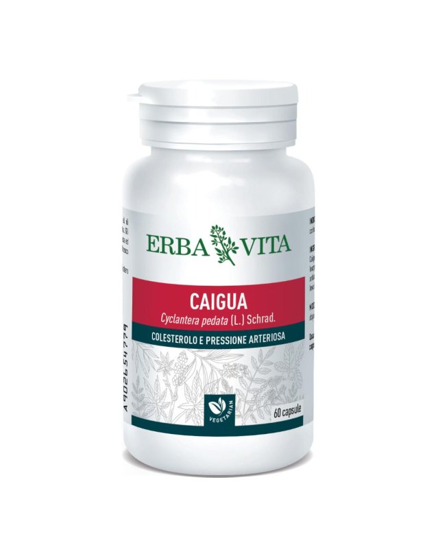 CAIGUA 60CPS 400MG EBV