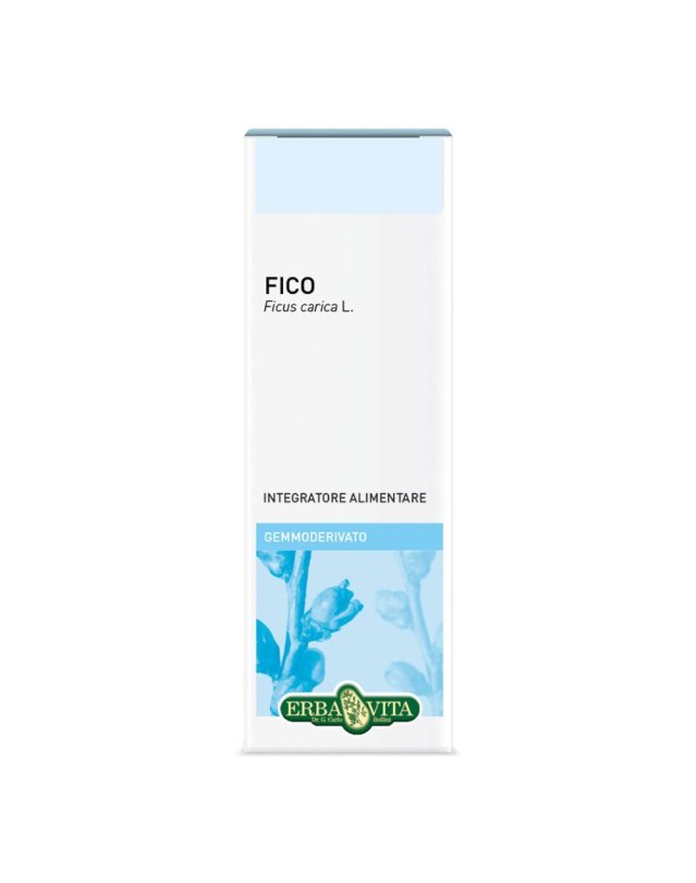 GEMMODERIVATO Fico 50ml    EBV