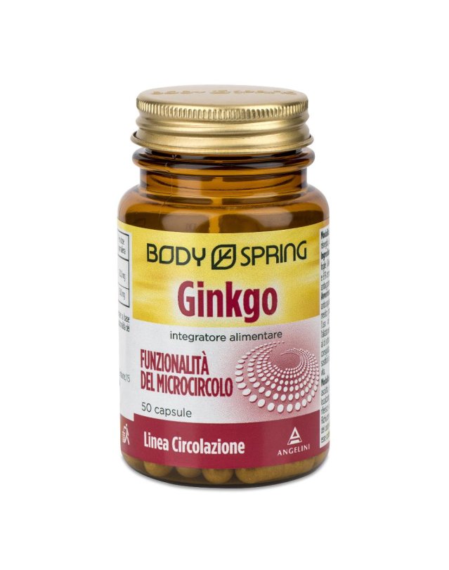 BS GINKGO 120MG 50CPS BSP