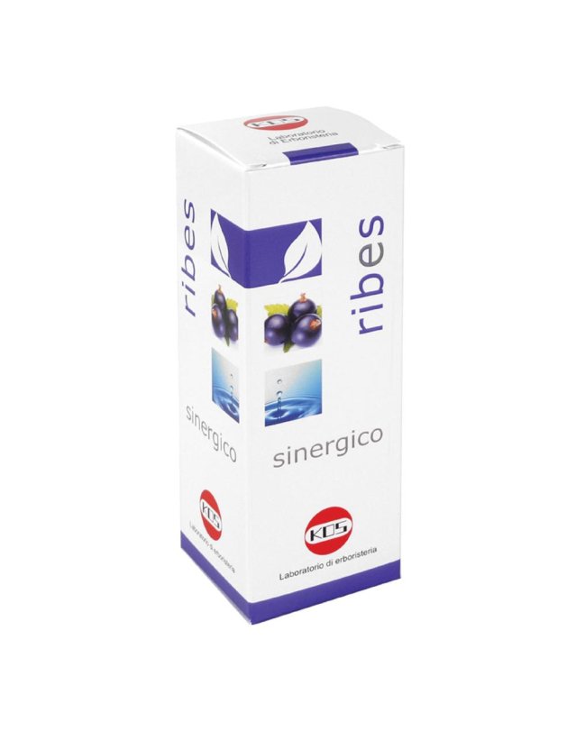 RIBES SINERGICO 100ml KOS