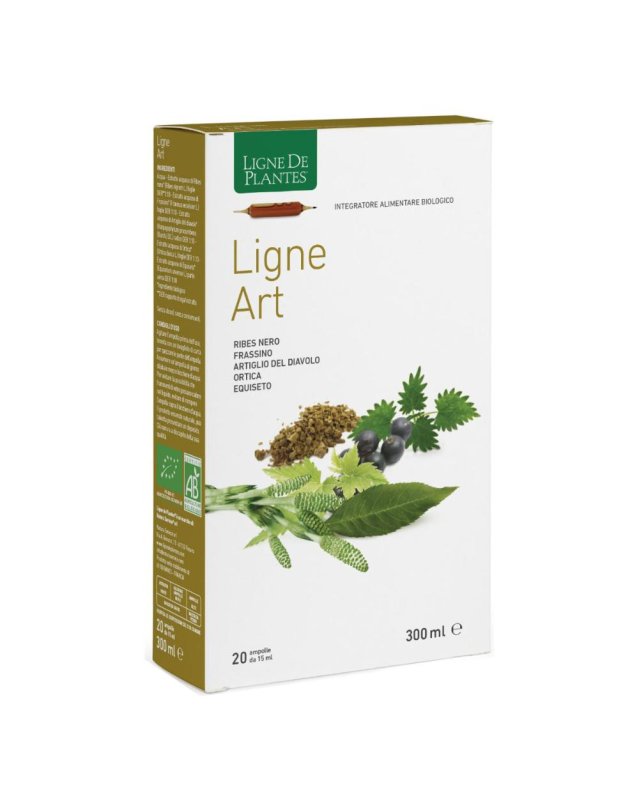 LIGNE ART 20ABX15ML LIGNE ART 20ABX15ML