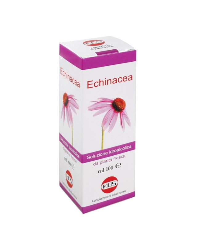 ECHINACEA SOL IAL PIANTA FR100