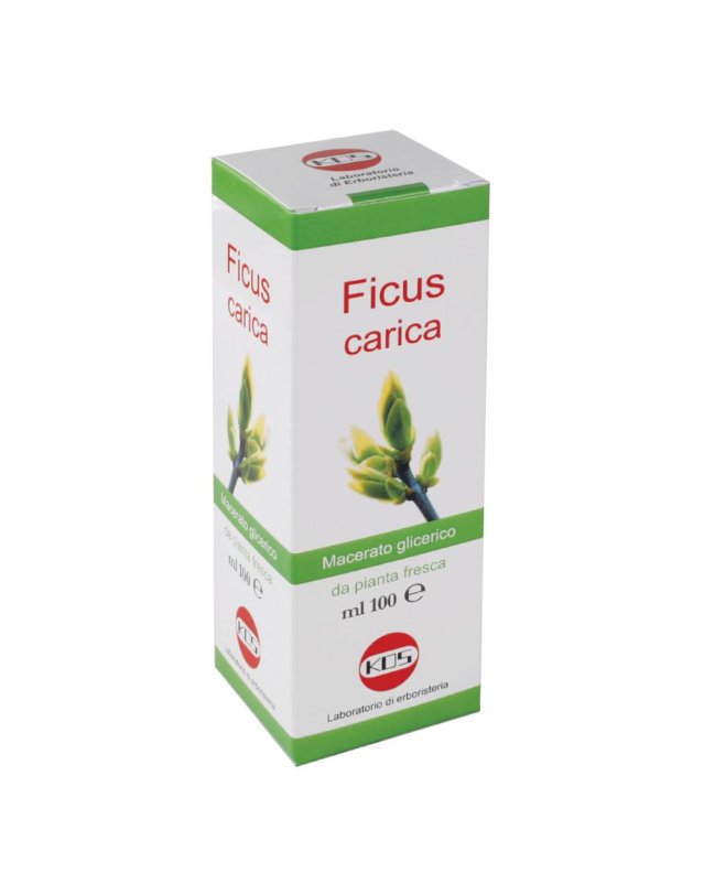 FICUS CARICA MG GTT 100ML KOS