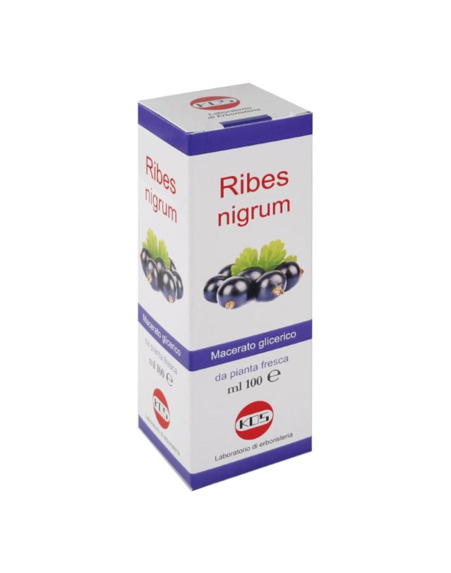 RIBES NIGRUM MG 100ML GTT KOS