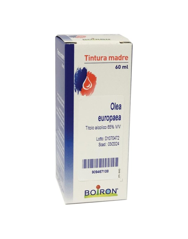 OLEA EUROPAEA 60ML TM