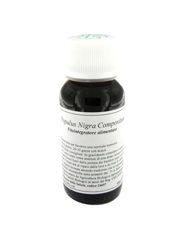 LVS 43N Populus Nigra Comp.