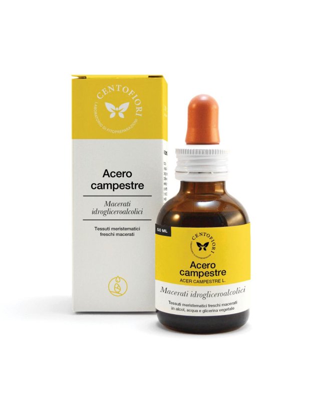 ACERO CAMPESTRE GEMME 50ML MG