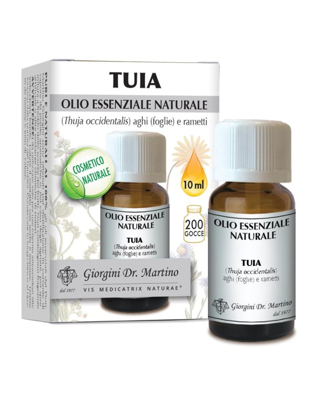 THUJA Olio Ess.10ml SVS