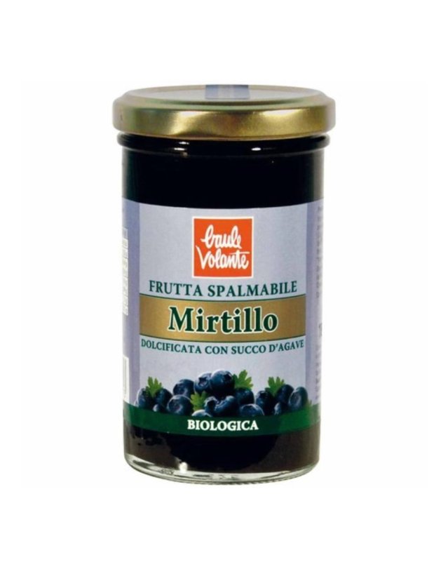 FRUTTA SPALMAB MIRTILLO 280G