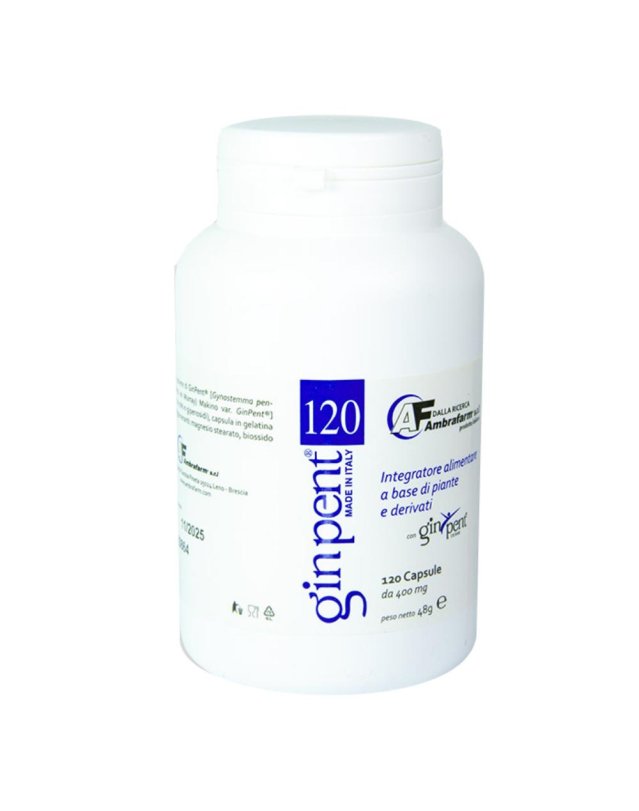 GINPENT 120CPS 400MG