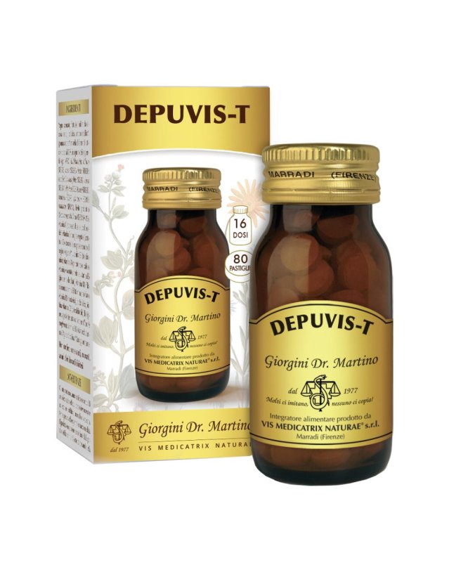 DEPUVIS 80 Past.