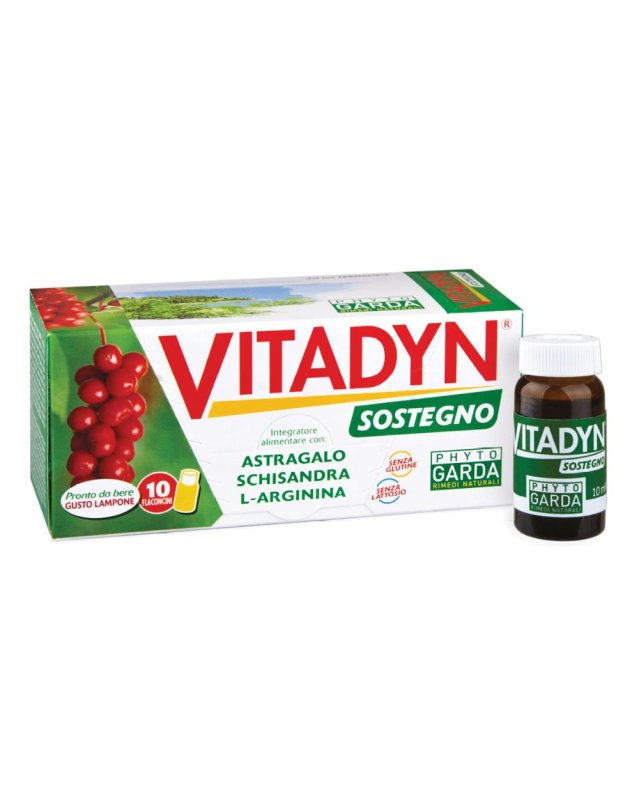 VITADYN Sostegno 10fl.10ml