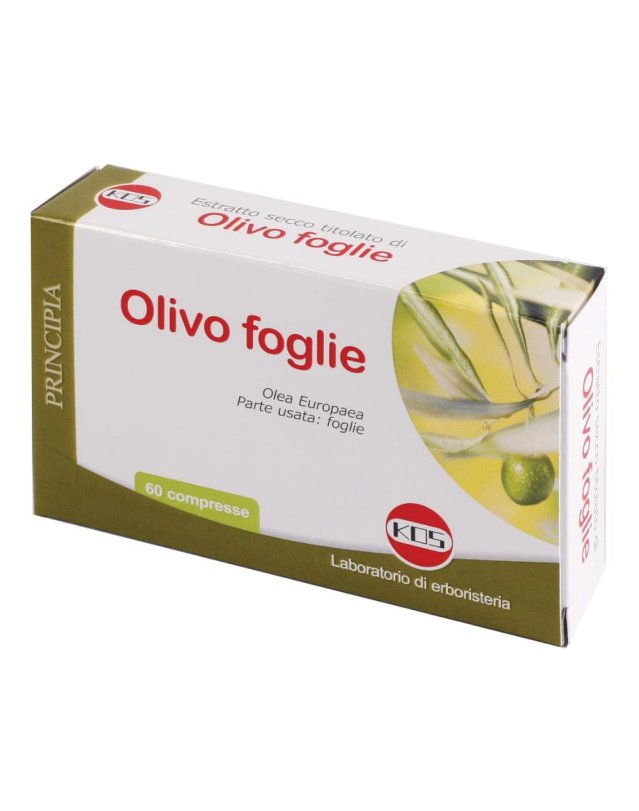 OLIVO FOGLIE ESTR SEC 60CPR