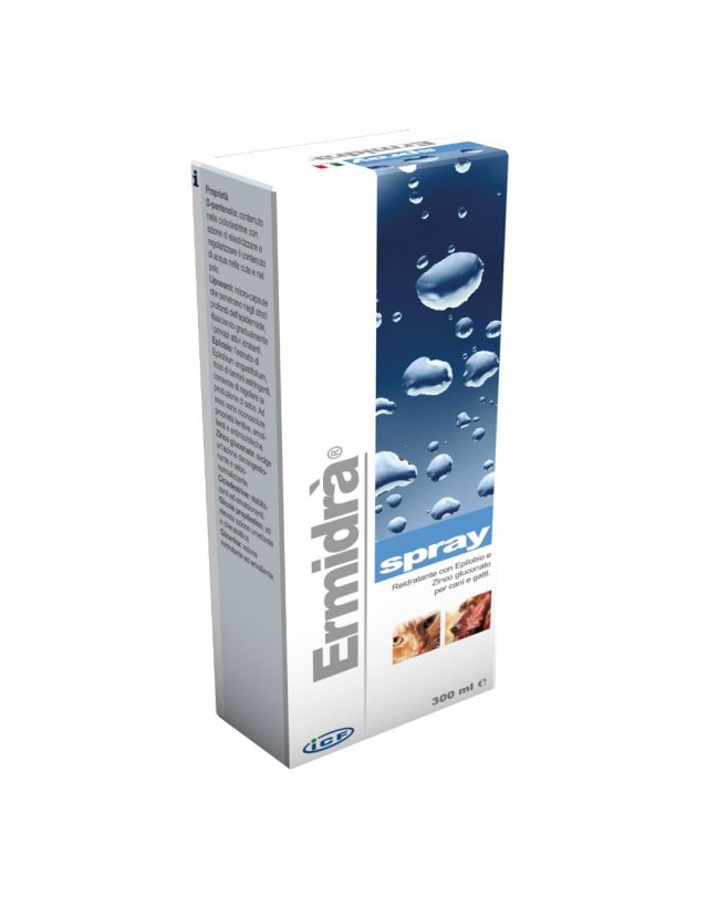 ERMIDRA'SPRAY 300ML