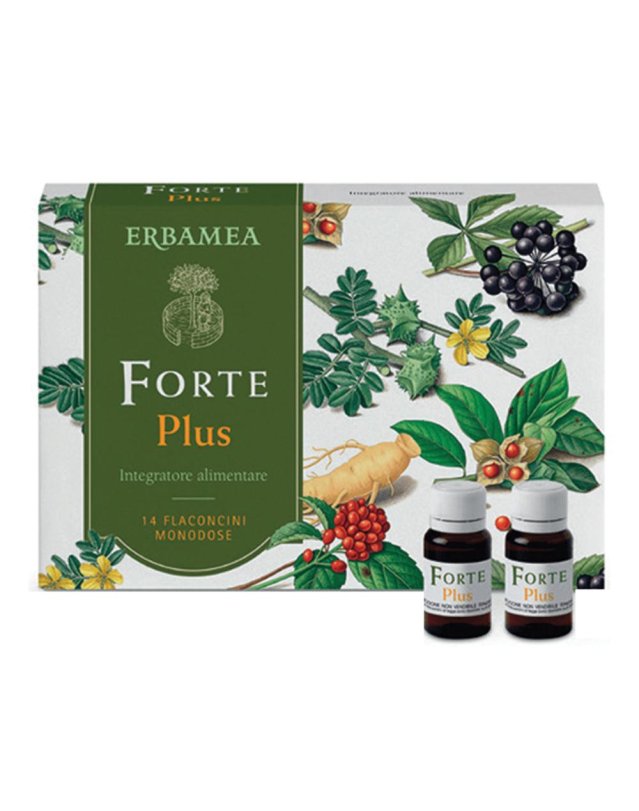 FORTE PLUS 14FL DA 10ML S/GL ERB