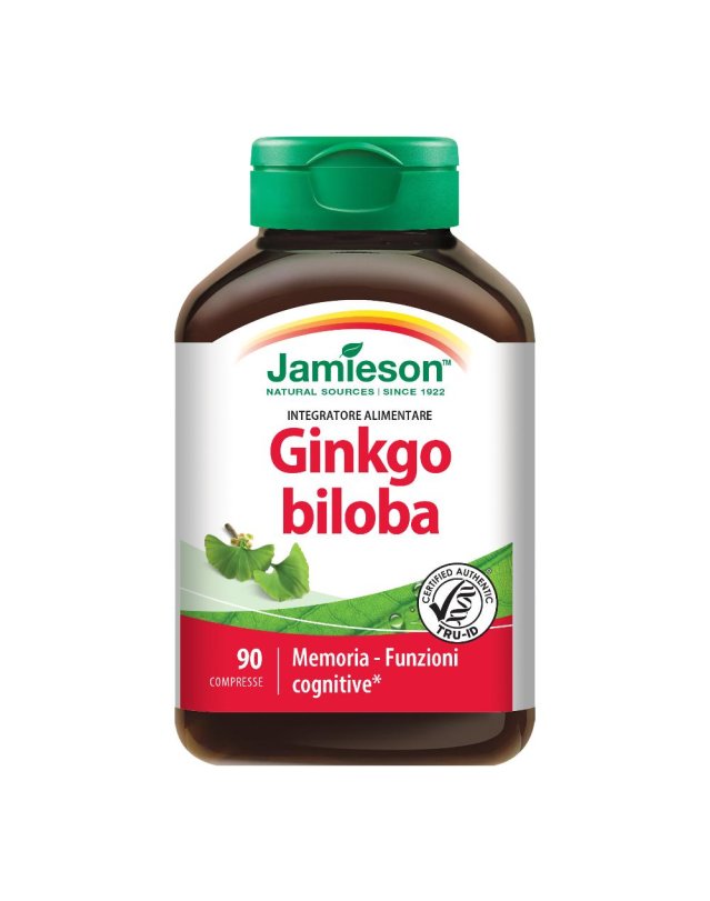 GINKGO BILOBA 120 TM 90CPR