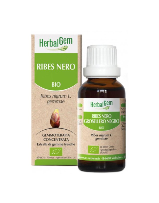 RIBES NERO GM BIO IT/ES GTT 50ML RIBES NERO GM BIO IT/ES GTT 50ML