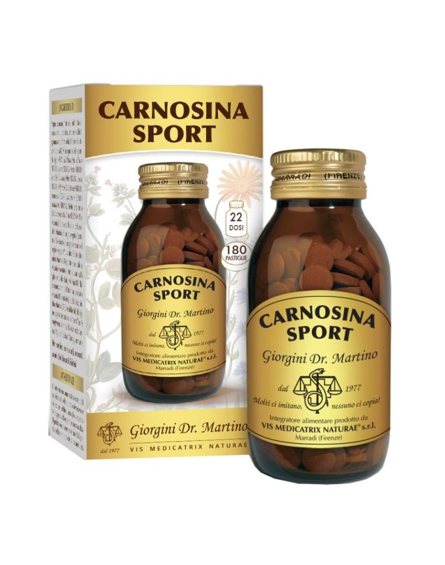 CARNOSINA Sport Vit.Past.90g