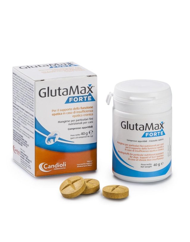 GLUTAMAX FORTE 20CPR