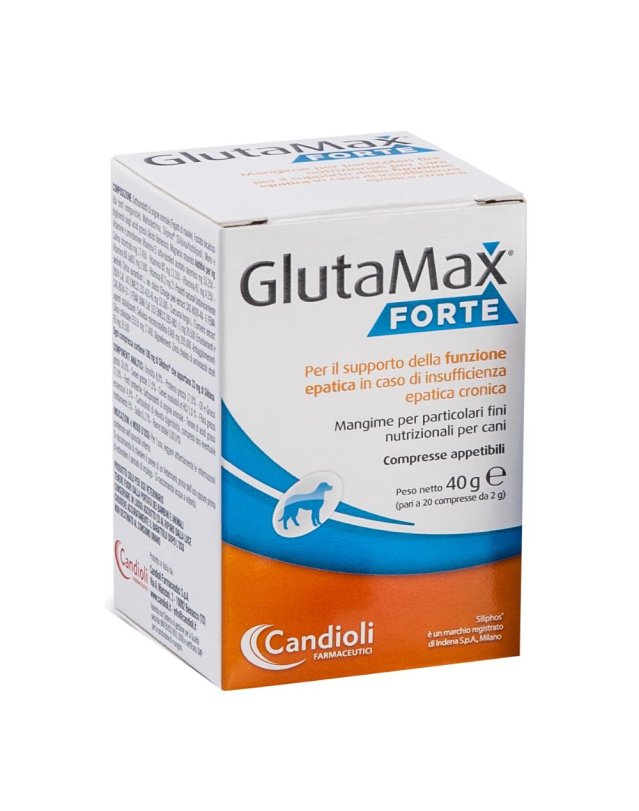 GLUTAMAX FORTE 40CPR