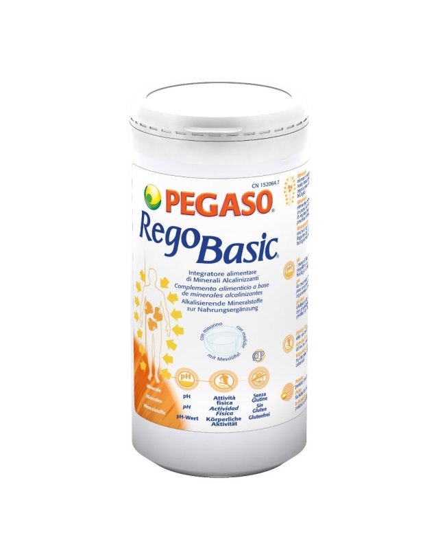 REGOBASIC POLVERE 250G