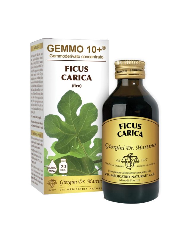 FICUS CARICA Gemmo 10+100ml