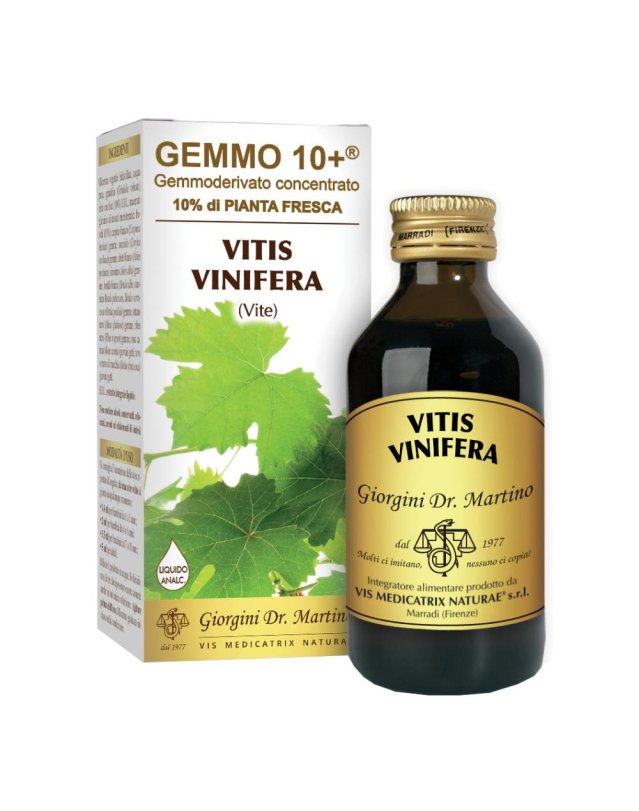 VITE LIQ ANALCO GEMMO10+ 100ML