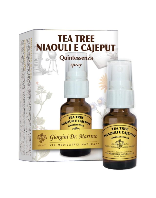 TEA TREE NIAOU/CAJEP QUINT SPR