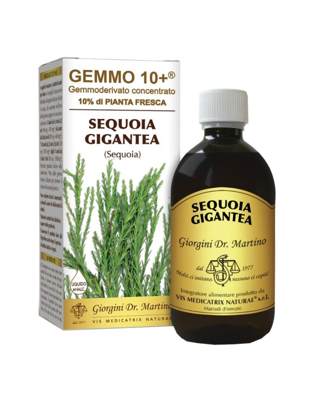 SEQUOIA 500ML ANALCO GEMMO 10+