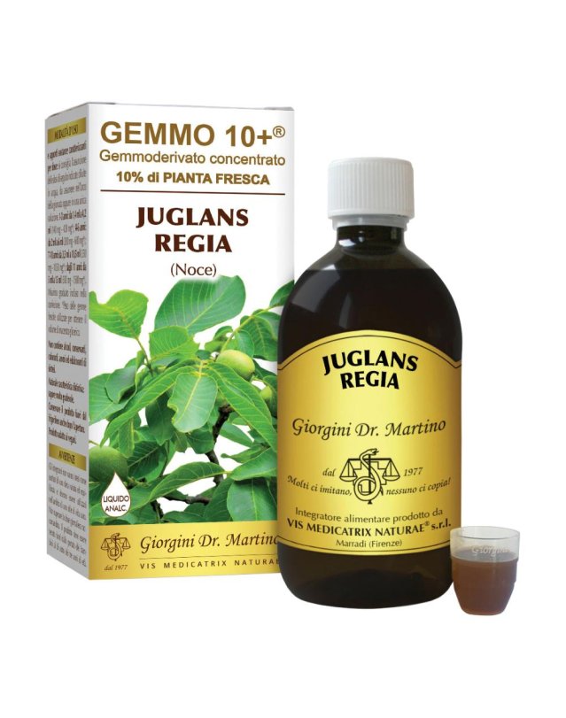 JUGLANS REGIA GEMMO 10+ S/A 500M JUGLANS REGIA GEMMO 10+ S/A 500M