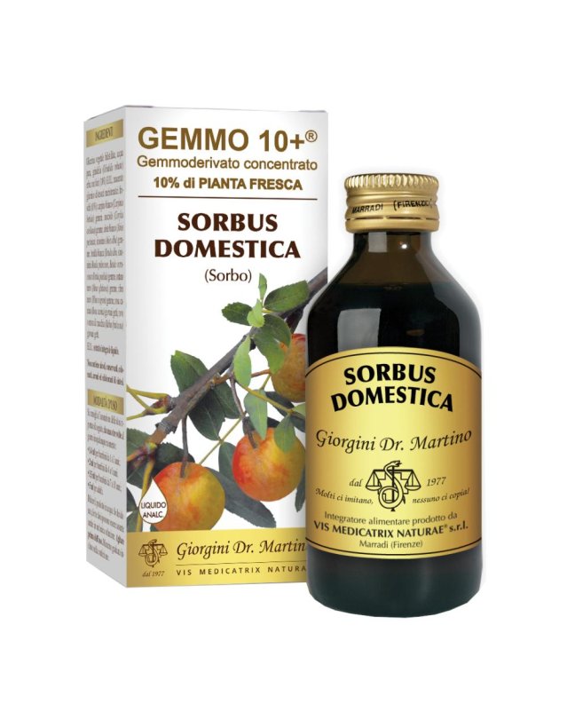 SORBO 100ML ANALCO GEMMO 10+