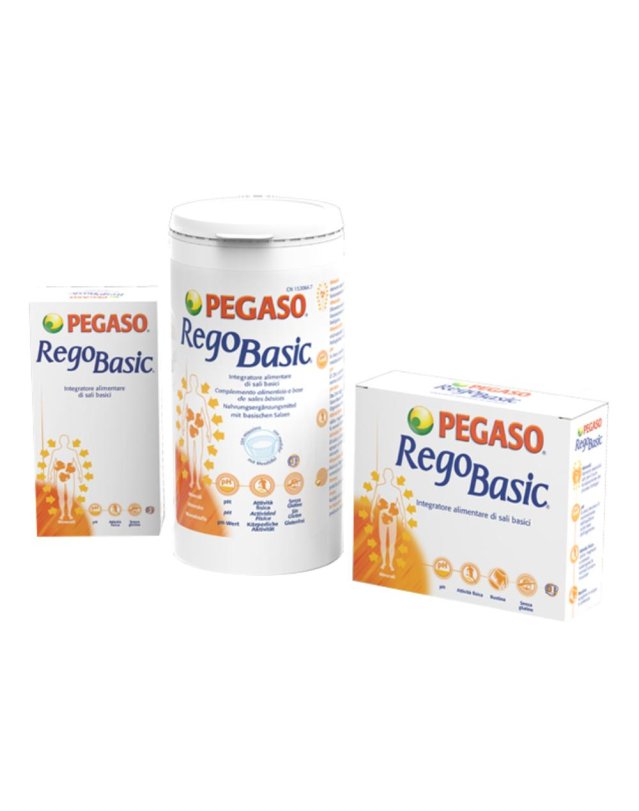 REGOBASIC 12BUST PEGASO