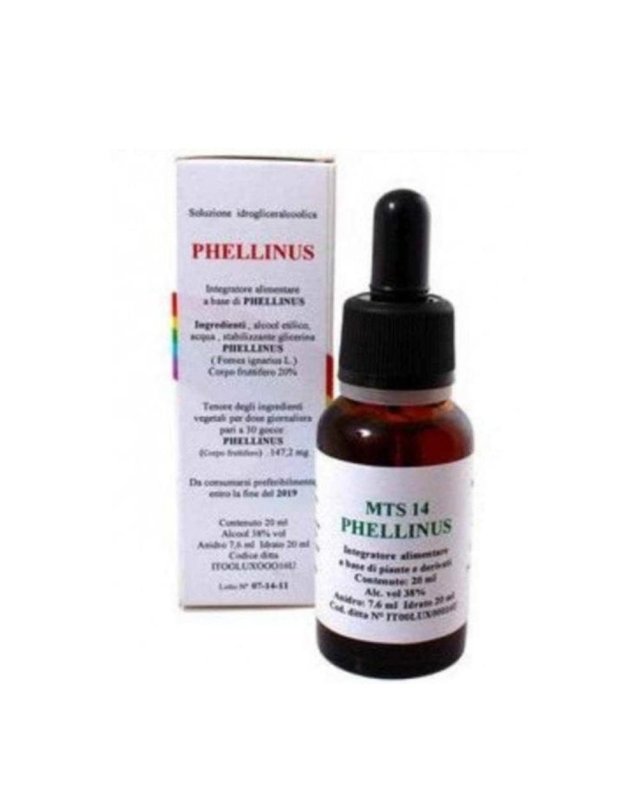MTS14 PHELLINUS Gtt 20ml