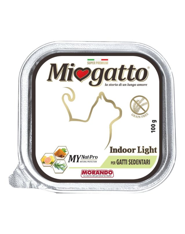 V MIOGATTO 8637 AD VASC.INDOORLI