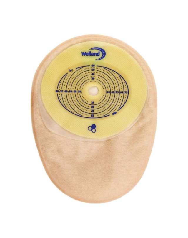 AURUM COLO TR RIT 13-60X80 30P