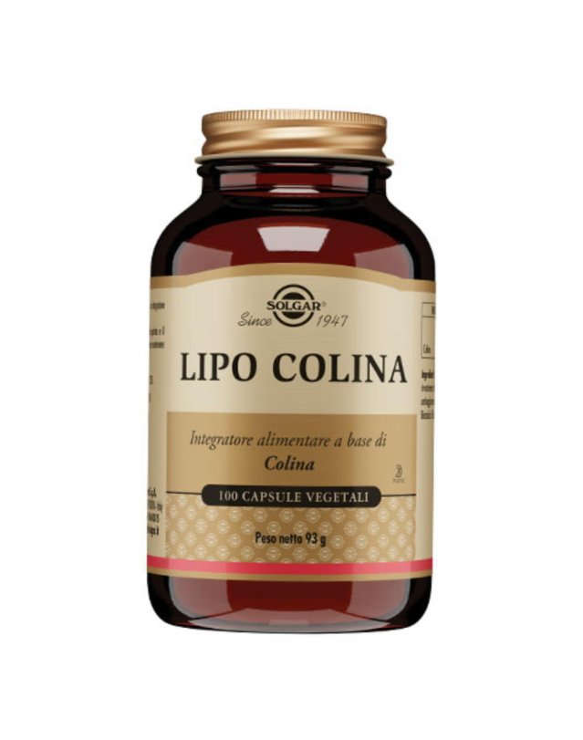 LIPO COLINA 100 Cps 100mgSOLGA