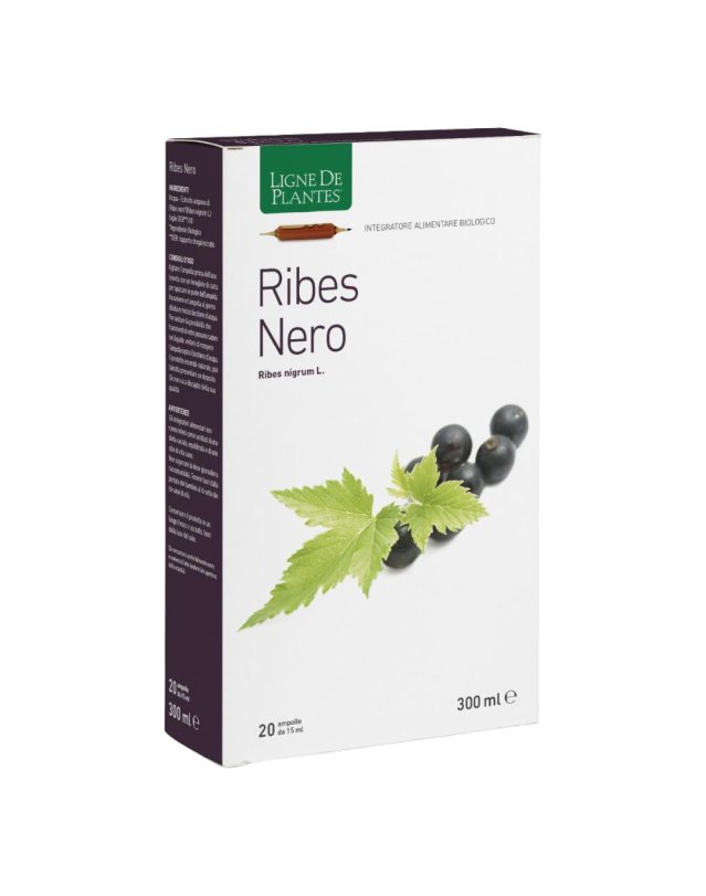 RIBES NERO BIO 20AB 15ML RIBES NERO BIO 20AB 15ML