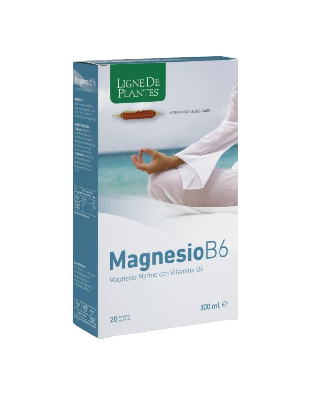 MAGNESIO B6 20AB 15ml N-S MAGNESIO B6 20AB 15ml N-S